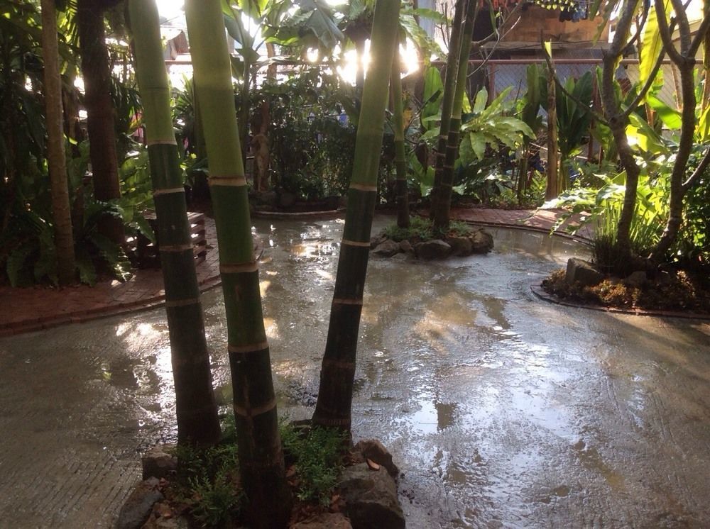 Oyo 585 Freedom Hostel @ Phi Phi 외부 사진