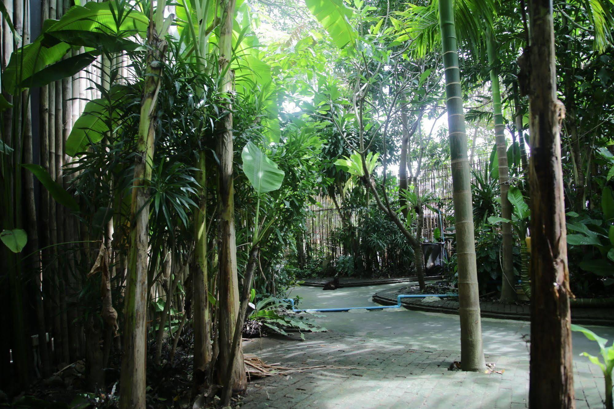 Oyo 585 Freedom Hostel @ Phi Phi 외부 사진